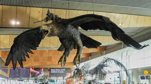 تمثال نسر ضخم يحمل شخصية غاندالف، مع جناحيه الواسعين، يزين مطار ويلينغتون، مستعدًا لمغادرته بعد 12 عامًا.