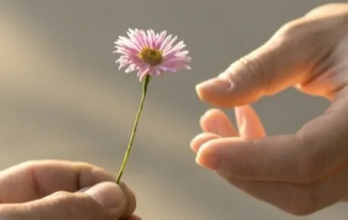 لحظة مؤثرة لتبادل الهدايا خلال الأعياد، حيث يحتضن شخصان بعضهما البعض بسعادة، مع شجرة عيد الميلاد في الخلفية.