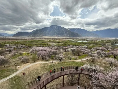 منظر بانورامي لطبيعة التبت، يظهر الجبال المغطاة بالثلوج وحدائق مزهرة، مع مجموعة من الزوار يستمتعون بالمنظر.