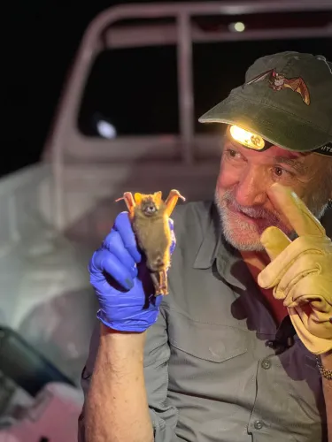 رودريغو ميديلين يحمل خفاشاً في يده، معبرًا عن شغفه بحماية هذه الثدييات الطائرة ودورها البيئي الهام.