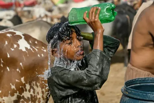 طفل باكستاني يسكب الماء على رأسه للتخفيف من حرارة الطقس المرتفعة، وسط قطيع من الأبقار في منطقة جغرافية تتأثر بتغير المناخ.