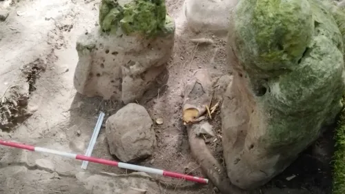 اكتشاف بقايا تمثالين صخريين يشبهان الإنسان في غواتيمالا، يُعتقد أنهما يمثلان "زوجين من الأجداد"، بجانب نظام قنوات مائي فريد.