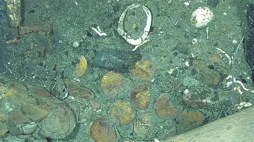 اكتشاف عملات ذهبية قديمة على حطام سفينة سان خوسيه قبالة كولومبيا، تظهر تفاصيل تاريخية مهمة ورموز ملكية من القرن الثامن عشر.