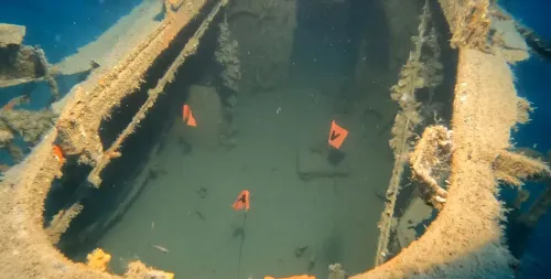 حطام طائرة جرومان تي بي إف أفنجر مقلوبة في قاع البحر، مغطاة بالشعاب المرجانية، مع أسماك ملونة تتجول حولها، في ميناء سايبان.