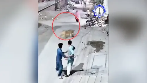 أسد هارب يجري في شارع في لاهور، مع وجود رجال يحاولون السيطرة على الوضع، بعد هجومه على امرأة وطفلين.