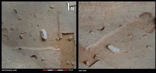 اكتشاف حصاة تحمل بصمة إنسان نياندرتال في ملجأ سان لازارو بإسبانيا، مما يشير إلى استخدام الفن الرمزي قبل 43,000 سنة.