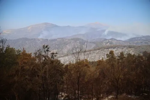 حرائق الغابات في شمال غرب سوريا، مع مشاهد للغابات المحترقة والدخان يتصاعد من المناطق الجبلية، بعد جهود السيطرة على النيران.