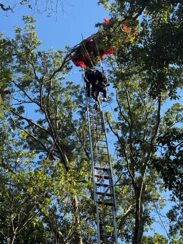 إنقاذ قافز بالمظلة علق على شجرة بمظلة مفتوحة في ناشفيل، بعد حادث قفز ترادفي أدى إلى وفاة المدرب.