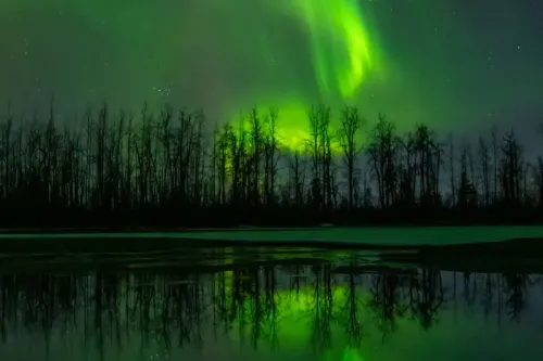 الشفق القطبي الشمالي يتلألأ فوق الأشجار العارية، مع انعكاسه على سطح الماء، مما يعكس جمال الطبيعة وعجائبها.