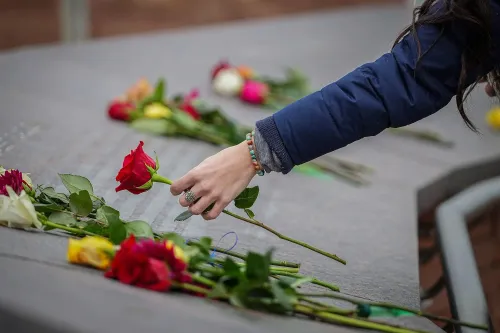 شخص يضع وردة حمراء بين زهور ملونة أخرى، في موقع يكرم ضحايا إطلاق النار الجماعي، مما يعكس الحزن والتذكر.