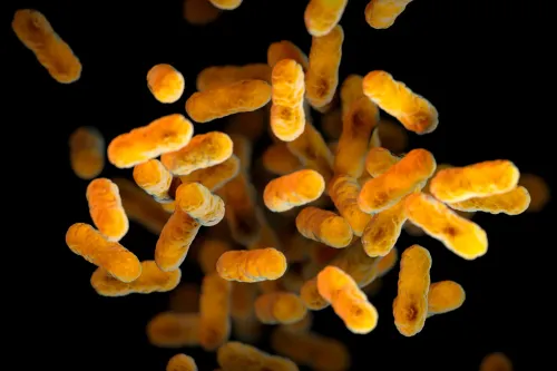 صورة مجهرية لبكتيريا السعال الديكي، تظهر شكلها العصوي ولونها البرتقالي، مما يبرز أهمية التطعيم للوقاية من المرض.