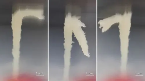 تظهر الصورة تشكيلات عمودية من الديدان الخيطية، تُظهر سلوكها التعاوني في بناء هياكل معقدة أثناء البحث عن الغذاء.