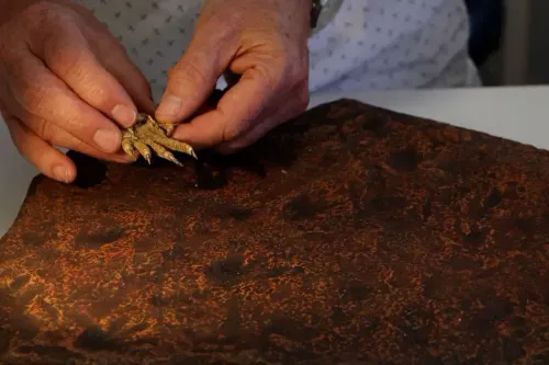 اكتشاف آثار أقدام مخالب على لوح صخري يعود لـ 356 مليون سنة في أستراليا، يسلط الضوء على تطور الزواحف وانتقالها إلى اليابسة.