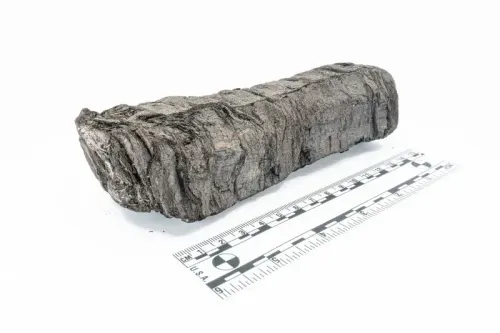 لفيفة محترقة من هركولانيوم، محفوظة تحت الرماد، تم فك رموزها حديثاً، تعود للفيلسوف فيلودموس، تتعلق بأطروحته "في الرذائل".