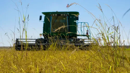 جرار زراعي في حقل أرز أمريكي، يشير إلى التوترات التجارية بين الولايات المتحدة واليابان بشأن صادرات الأرز.