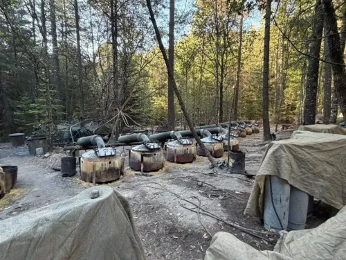 موقع لمعمل مخدرات غير قانوني في غابة، يظهر براميل وأجهزة متصلة، مما يعكس جهود مكافحة المخدرات في المكسيك.