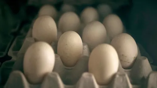 بيض موضوع في علبة كرتونية، يمثل أزمة ارتفاع أسعار البيض وتأثير إنفلونزا الطيور على السوق الزراعي في الولايات المتحدة.