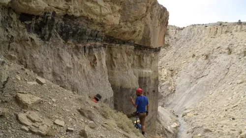 باحث يقف أمام جرف صخري يكشف عن طبقات جيولوجية، مما يشير إلى دراسة الحفريات وتأثيرها على فهم انقراض الديناصورات.