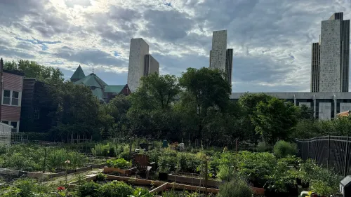 حديقة مجتمعية مليئة بالنباتات الخضراء، مع مبانٍ شاهقة في الخلفية، تعكس جهود الأفراد في زراعة الطعام وزيادة الاكتفاء الذاتي.
