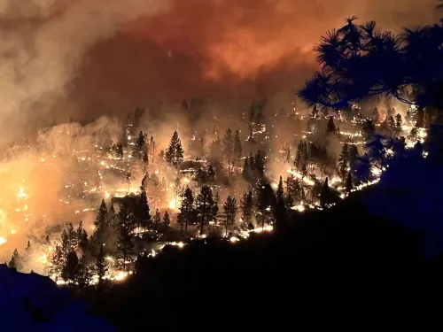 حرائق الغابات تلتهم الأشجار في شمال كاليفورنيا، مع تصاعد الدخان والنيران في الأفق، وسط تحذيرات إخلاء للمنطقة.