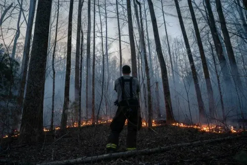 رجل إطفاء يراقب حرائق الغابات تتقدم في منطقة غابية كثيفة، مع أعمدة من الدخان والنيران تشتعل في الأرض المحيطة.