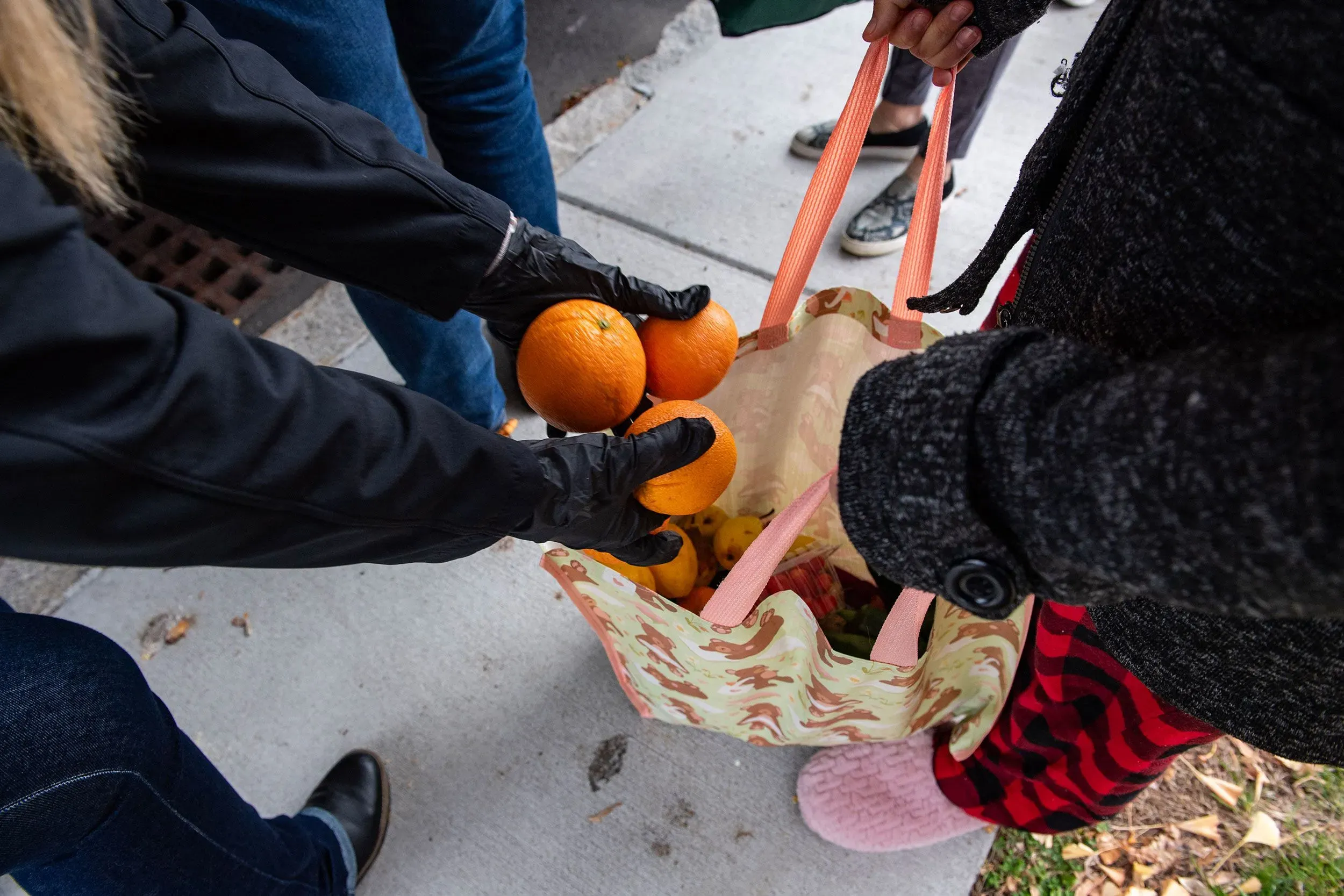 تظهر الصورة شخصين يتبادلان البرتقال في حقيبة تسوق، مما يعكس أهمية المساعدات الغذائية في ظل تغييرات برنامج SNAP.