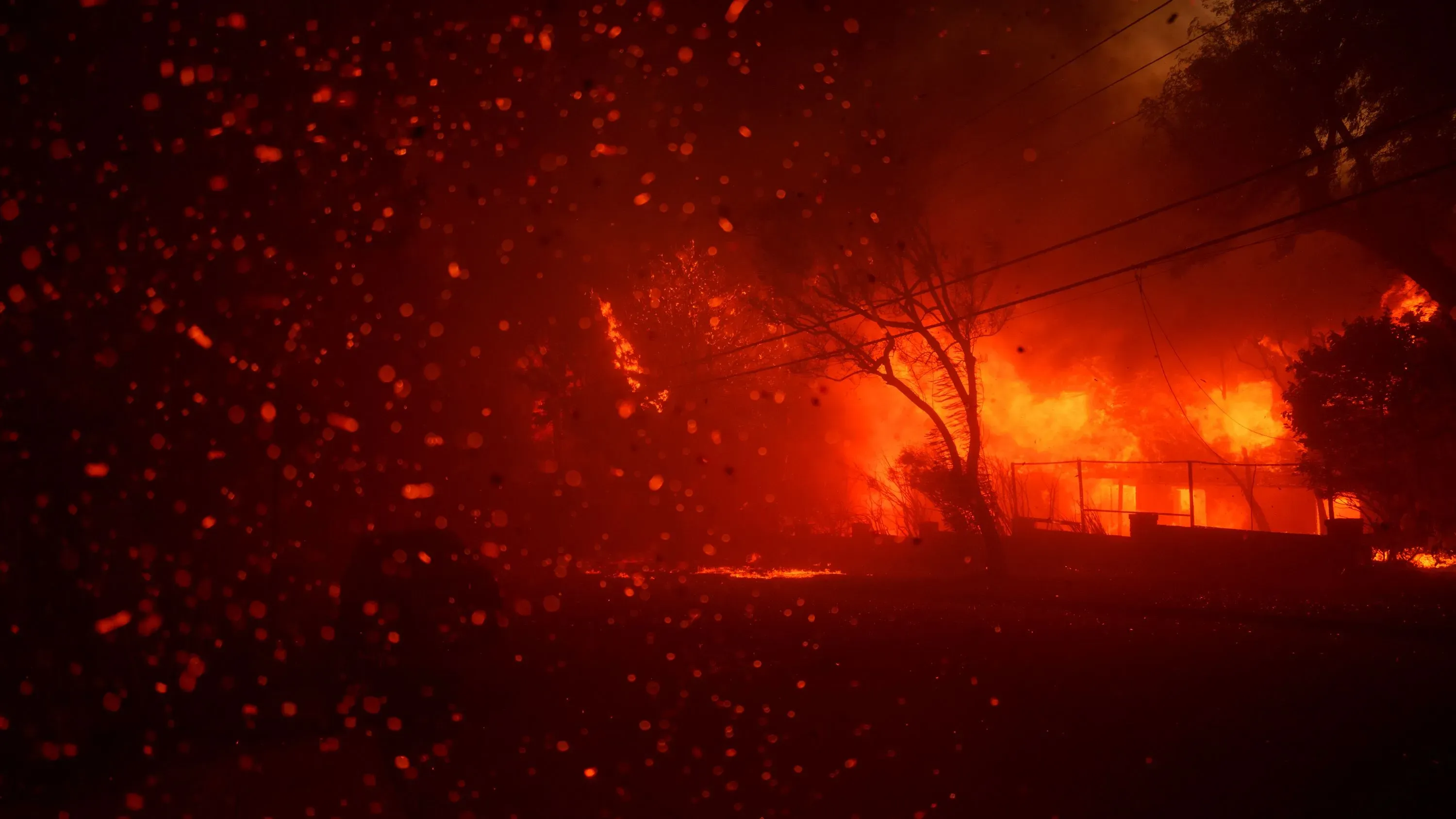 لهب ناري يلتهم الأشجار والمنازل في باسيفيك باليساديس، مع سحب من الدخان الكثيف، وسط أجواء مقلقة بسبب حرائق الغابات.