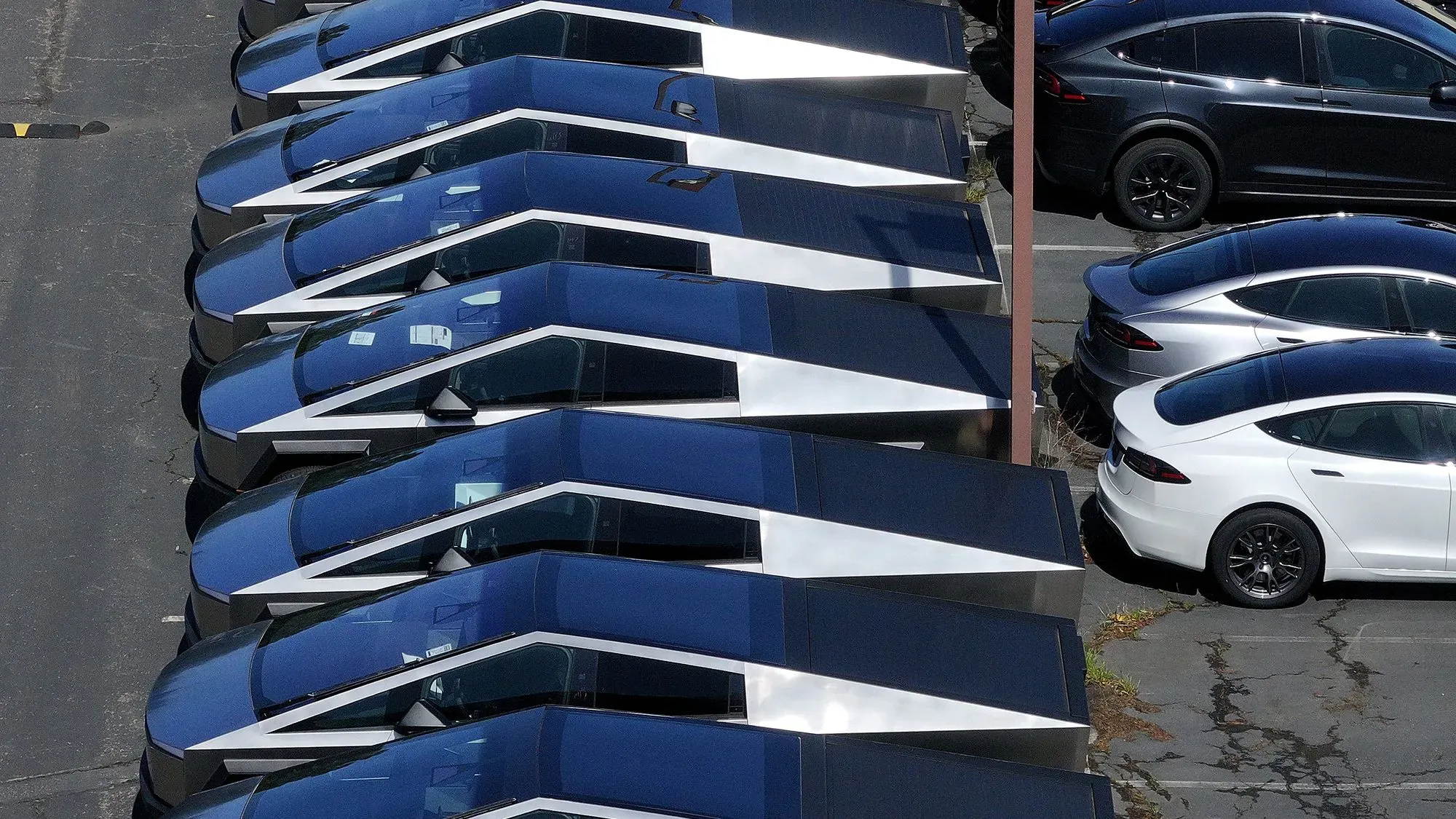 تظهر الصورة صفًا من سيارات تسلا الكهربائية، مع التركيز على تصميمها الفريد، مما يعكس التحديات التي تواجه الشركة في السوق.