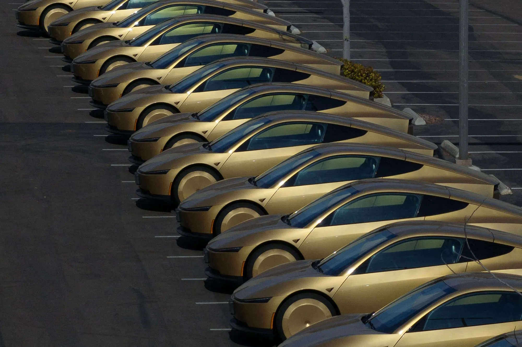 سيارات Tesla Model Y متوقفة في صف، تمهيداً لخدمة الروبوتاكسي Cybercab التي تطلقها الشركة في تحدي لWaymo في سوق القيادة الذاتية.
