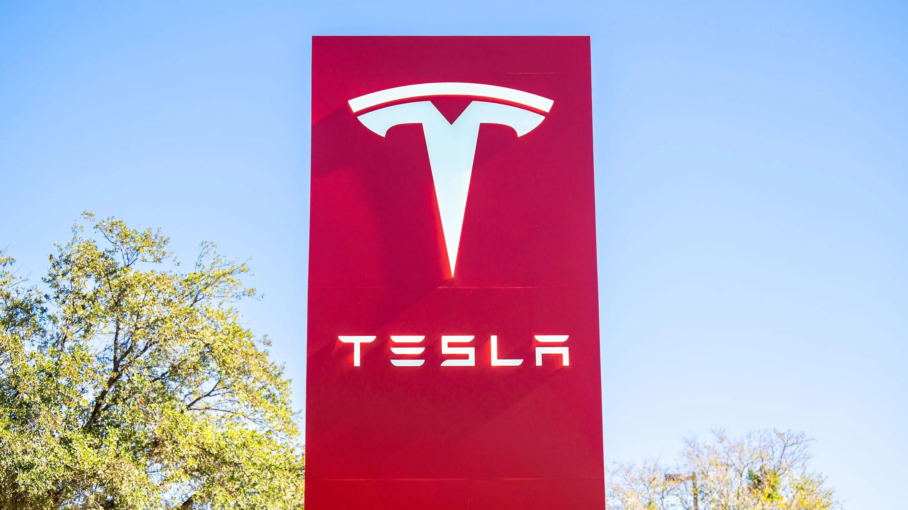 شعار تسلا على خلفية زرقاء، مع شجرة خضراء على اليسار، يشير إلى استدعاء 380,000 سيارة بسبب عطل في نظام التوجيه الكهربائي.