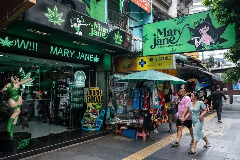 متجر "ماري جين" لبيع القنب في تايلاند، مع لافتات خضراء جذابة، حيث يتجول الزبائن في منطقة مزدحمة. تشير القواعد الجديدة إلى تنظيم الاستخدام الطبي فقط.
