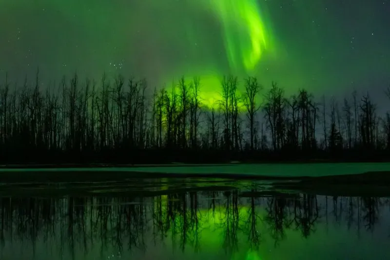 الشفق القطبي الشمالي يتلألأ فوق الأشجار العارية، مع انعكاسه على سطح الماء، مما يعكس جمال الطبيعة وعجائبها.