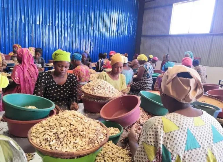 نساء يعملن في مصنع لتجهيز المكسرات في تنزانيا، حيث يساهمن في نمو السوق المحلية ويساعدن في توفير فرص عمل جديدة.