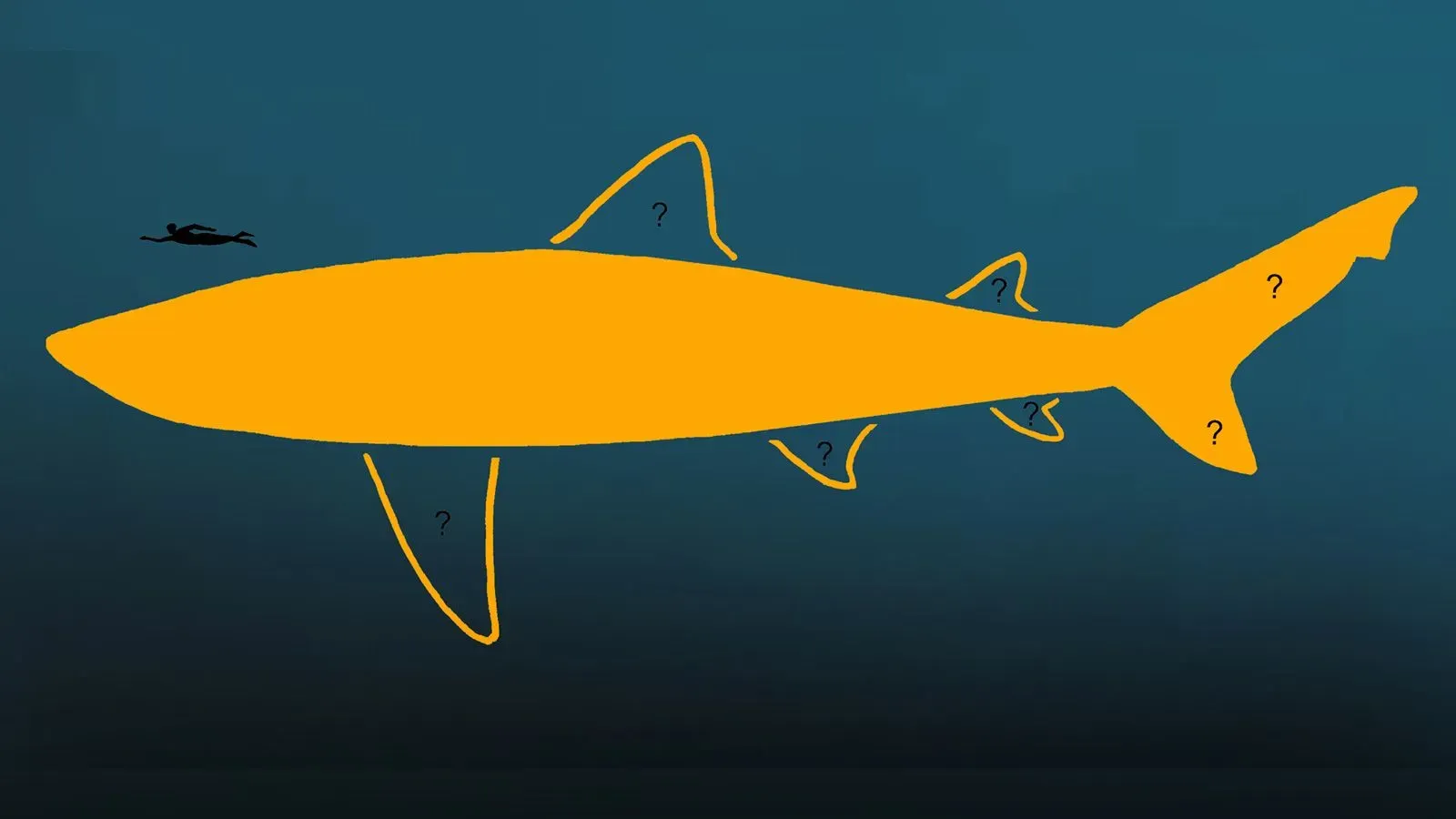 رسم توضيحي لهيكل سمكة ميغالودون العملاقة، يظهر حجمها مقارنة بالغواص، مع علامات استفهام حول تفاصيل شكلها.