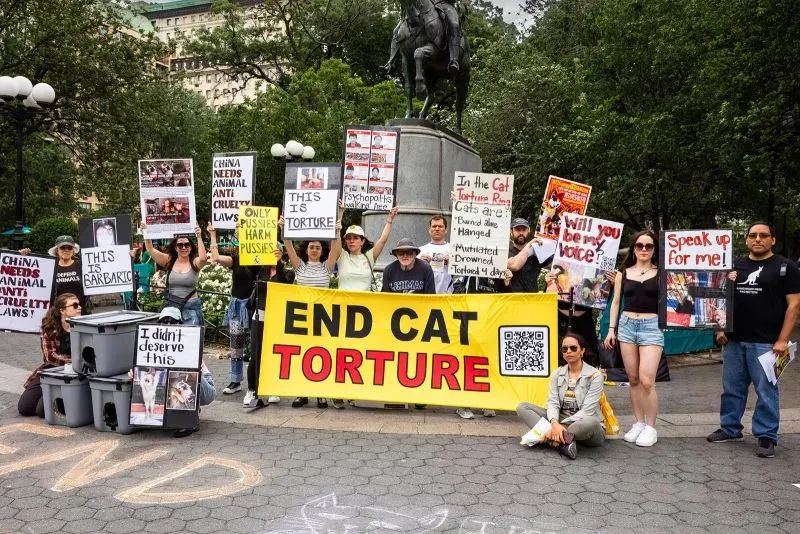 محتجون يحملون لافتات تدعو لإنهاء تعذيب القطط في حديقة، مع شعارات تعبر عن رفضهم للقسوة على الحيوانات.