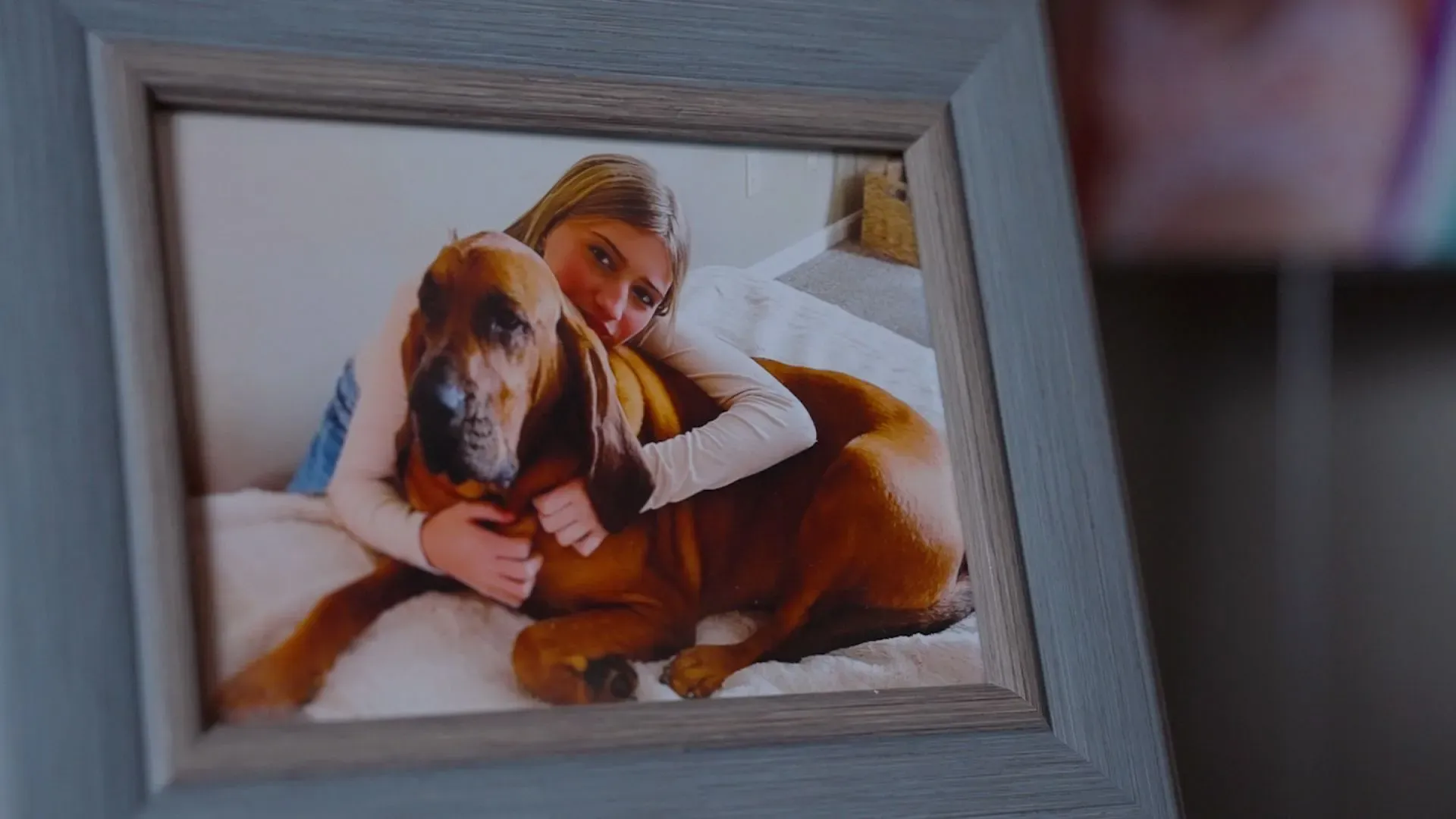 صورة لفتاة صغيرة تحتضن كلبًا بنيًا، تعكس لحظة حميمية وذكريات جميلة، تعبر عن الحب والارتباط العاطفي.