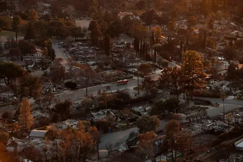 صورة جوية تُظهر آثار حرائق الغابات في لوس أنجلوس، مع بقايا منازل مدمرة وأشجار محترقة، تعكس آثار الكارثة على السكان والمجتمع.