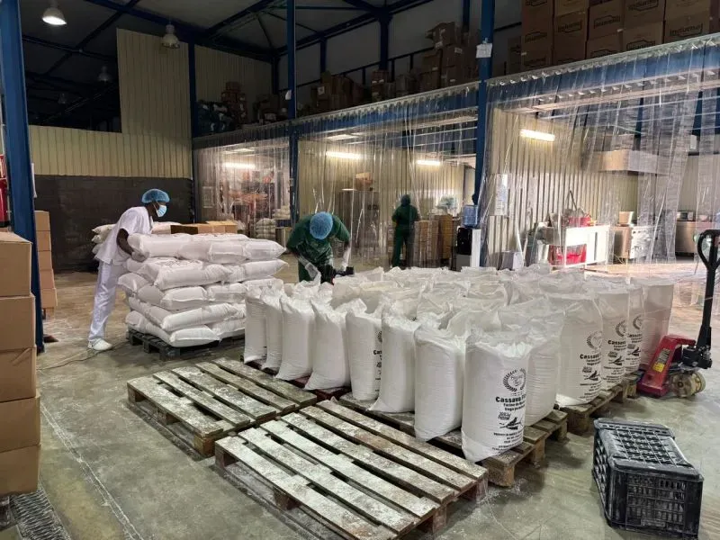 عمال في مصنع فودكير في أنغولا يقومون بتعبئة دقيق الكسافا في أكياس، مع التركيز على تعزيز الإنتاج المحلي والتصدير.