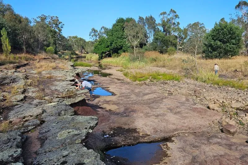آثار أقدام مخالب على لوح صخري في أستراليا، تعود إلى 356 مليون سنة، تشير إلى أصول الزواحف وتطور الحياة من الماء إلى اليابسة.