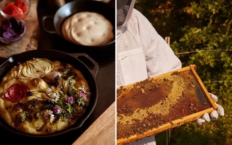 طبق مزين بالأزهار بجانب شخص يرتدي بدلة نحل يحمل إطارًا يحتوي على شمع العسل والنحل، يعكس تجربة الزراعة الحديثة.