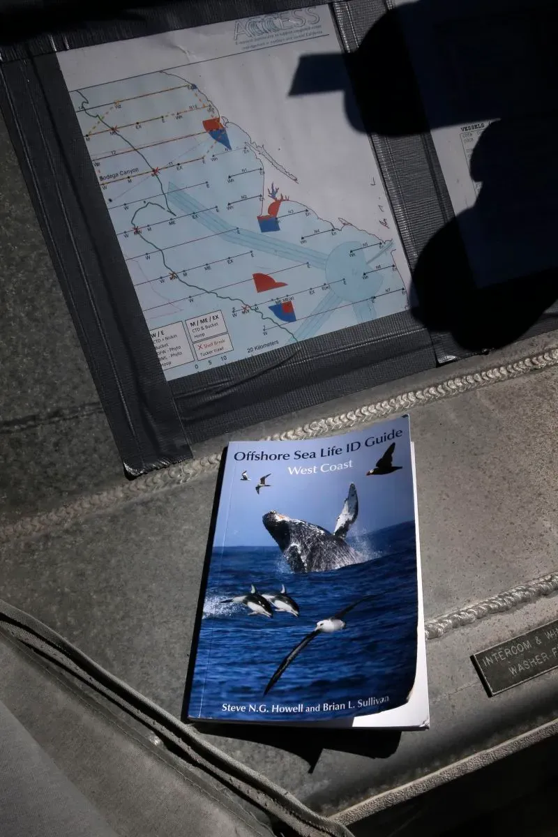 كتاب "دليل تحديد الحياة البحرية قبالة الساحل الغربي" موضوع على سطح معدني، مع خريطة توضح مسارات حركة الحيوانات البحرية.