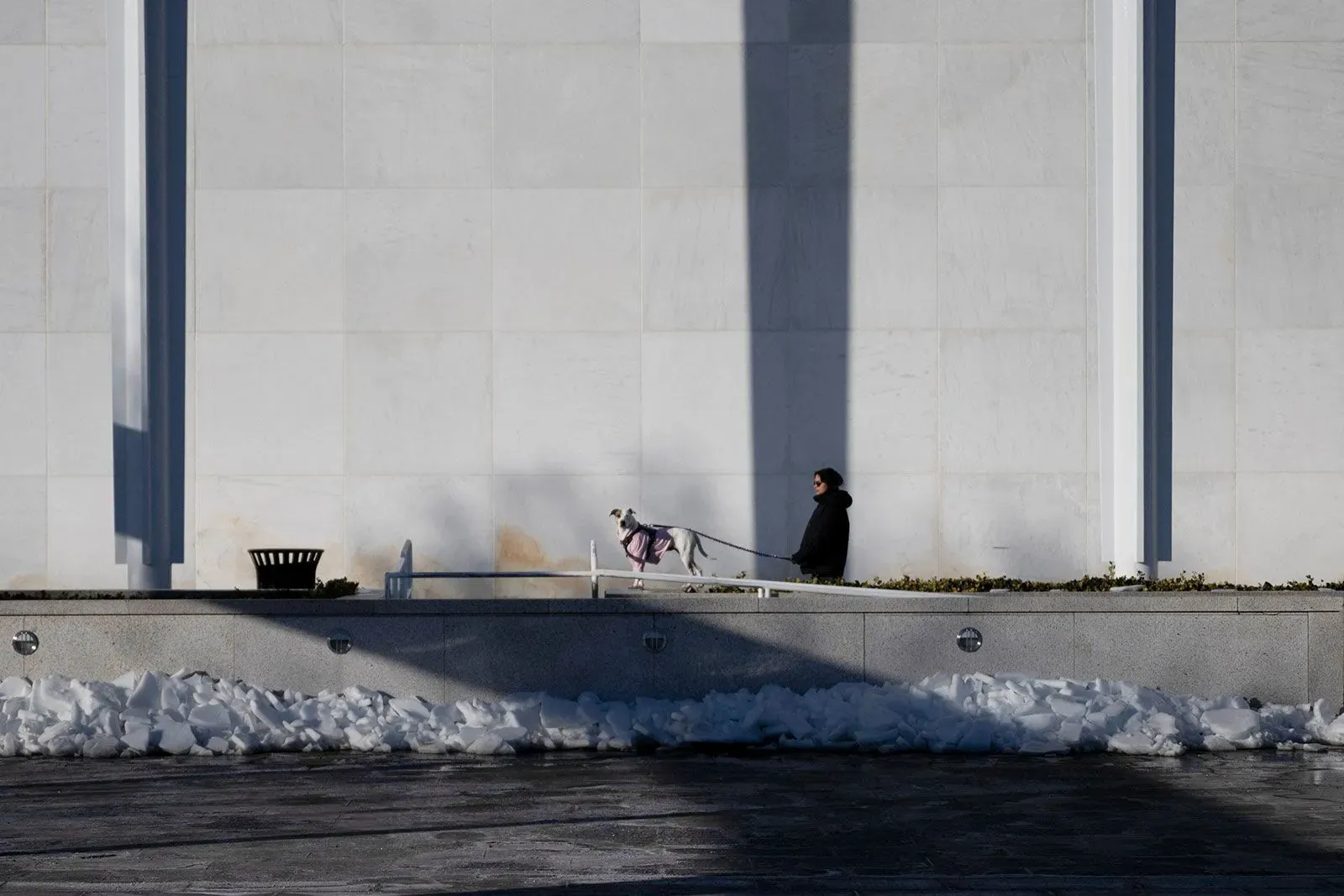 امرأة تقف بجانب جدار مركز كينيدي، تمشي كلبها في منطقة مليئة بالثلوج، تعكس أجواء التجديدات المخطط لها.