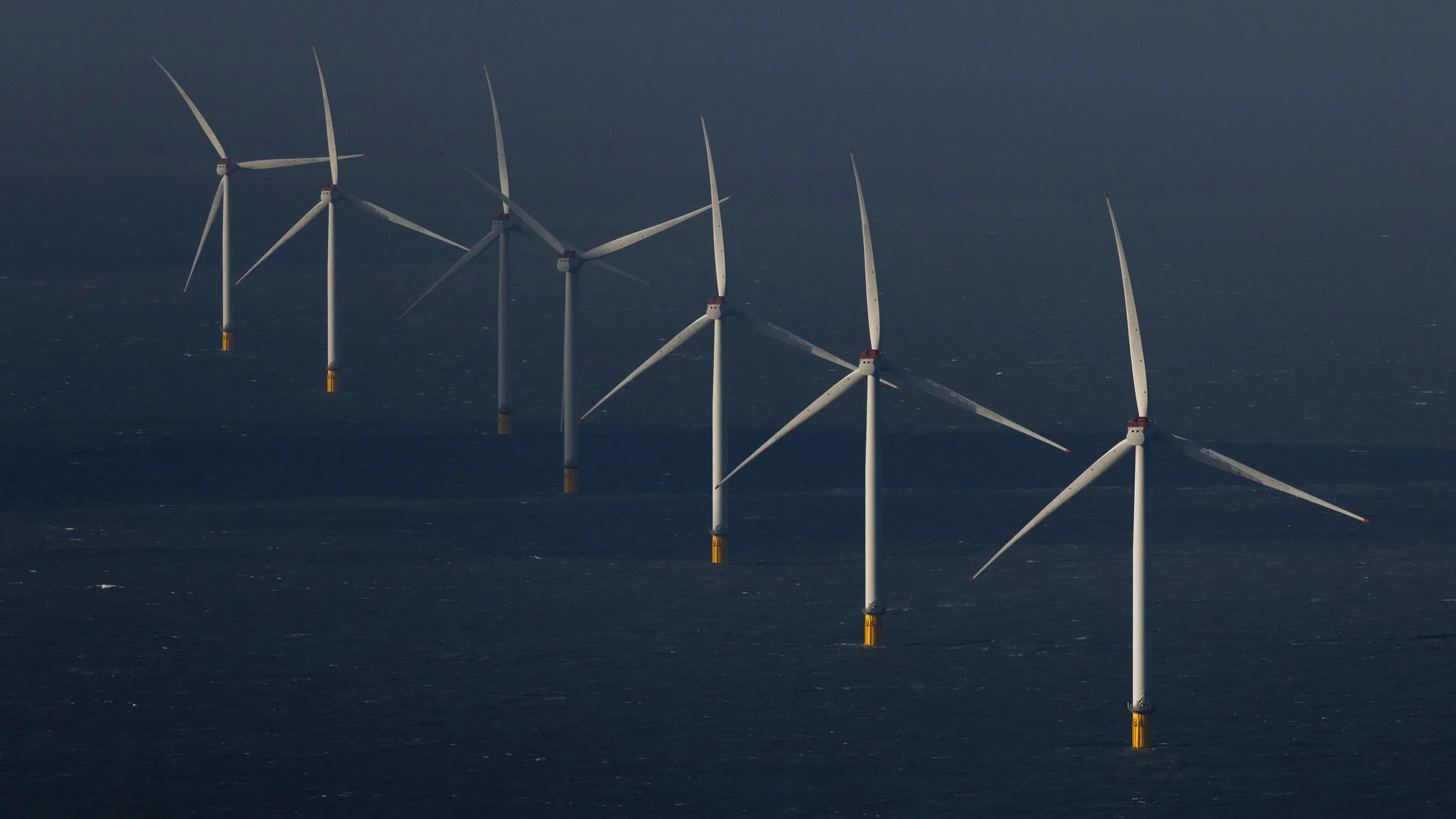مزارع رياح بحرية تضم عدة توربينات، تمثل مشروعًا ضخمًا للطاقة المتجددة في أوروبا، لتعزيز أمن الطاقة وتقليل الاعتماد على الوقود الأحفوري.