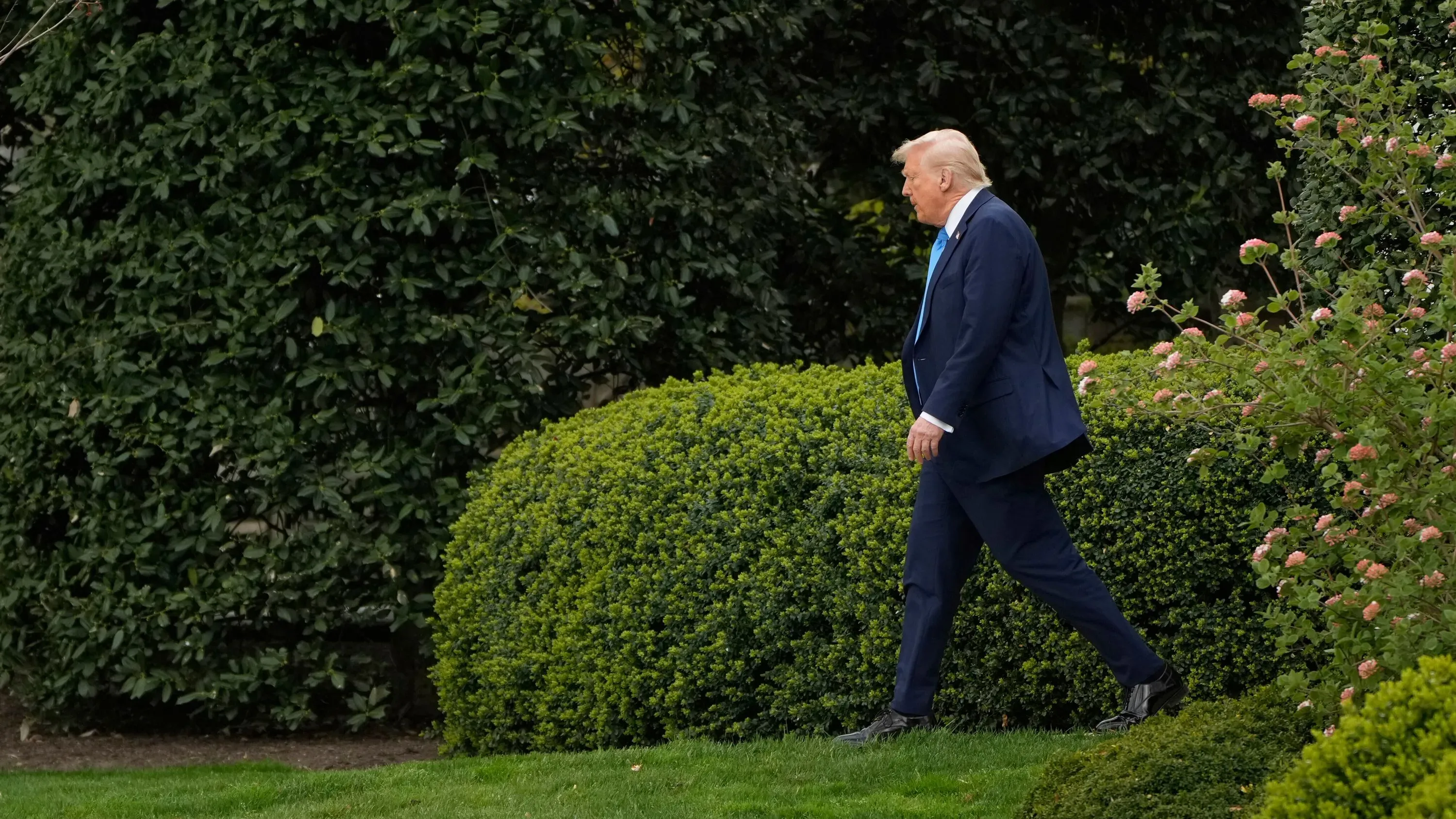 الرئيس ترامب يسير في حديقة البيت الأبيض، مع التركيز على تصريحاته حول التعريفات الجمركية وتأثيرها على صناعة السيارات الأمريكية.