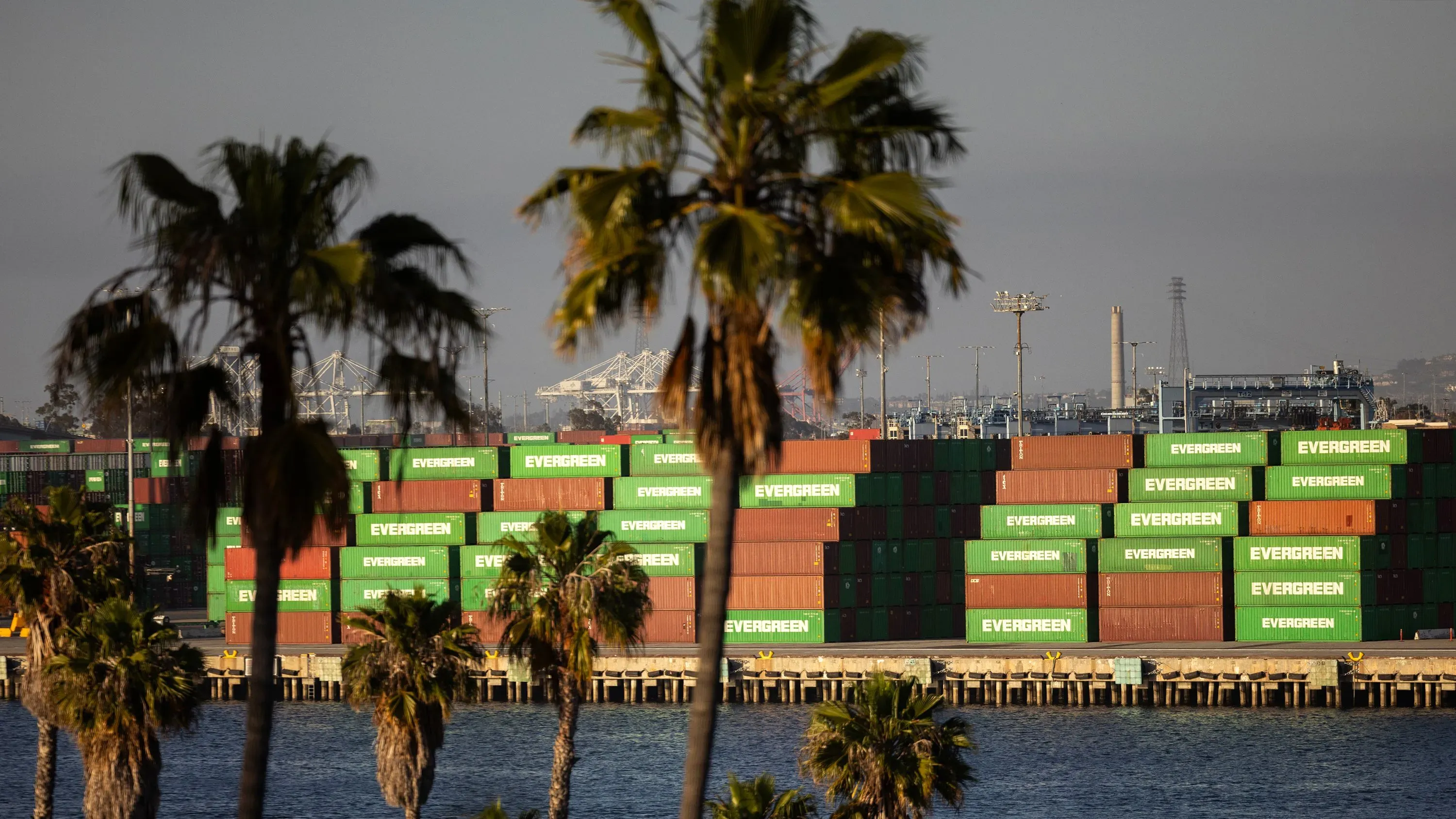 حاويات شحن تحمل علامة "إيفر غرين" في ميناء، محاطة بأشجار النخيل، تعكس النشاط التجاري في ظل التوترات التجارية العالمية.
