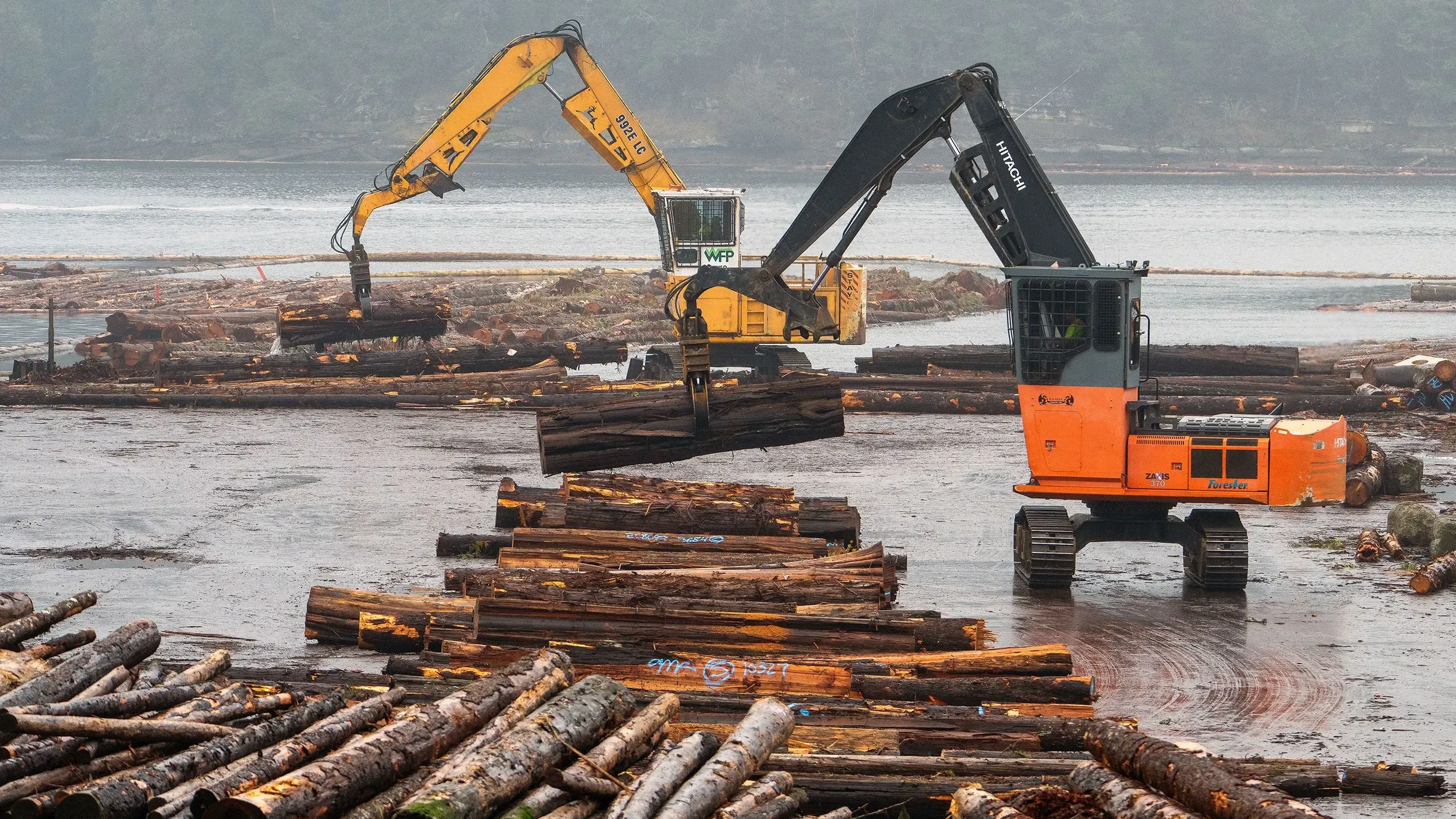 آلات تحميل تعمل على نقل الأخشاب في منطقة مائية، مما يعكس جهود ترامب للتحقيق في ممارسات تجارية غير عادلة للأخشاب المستوردة.