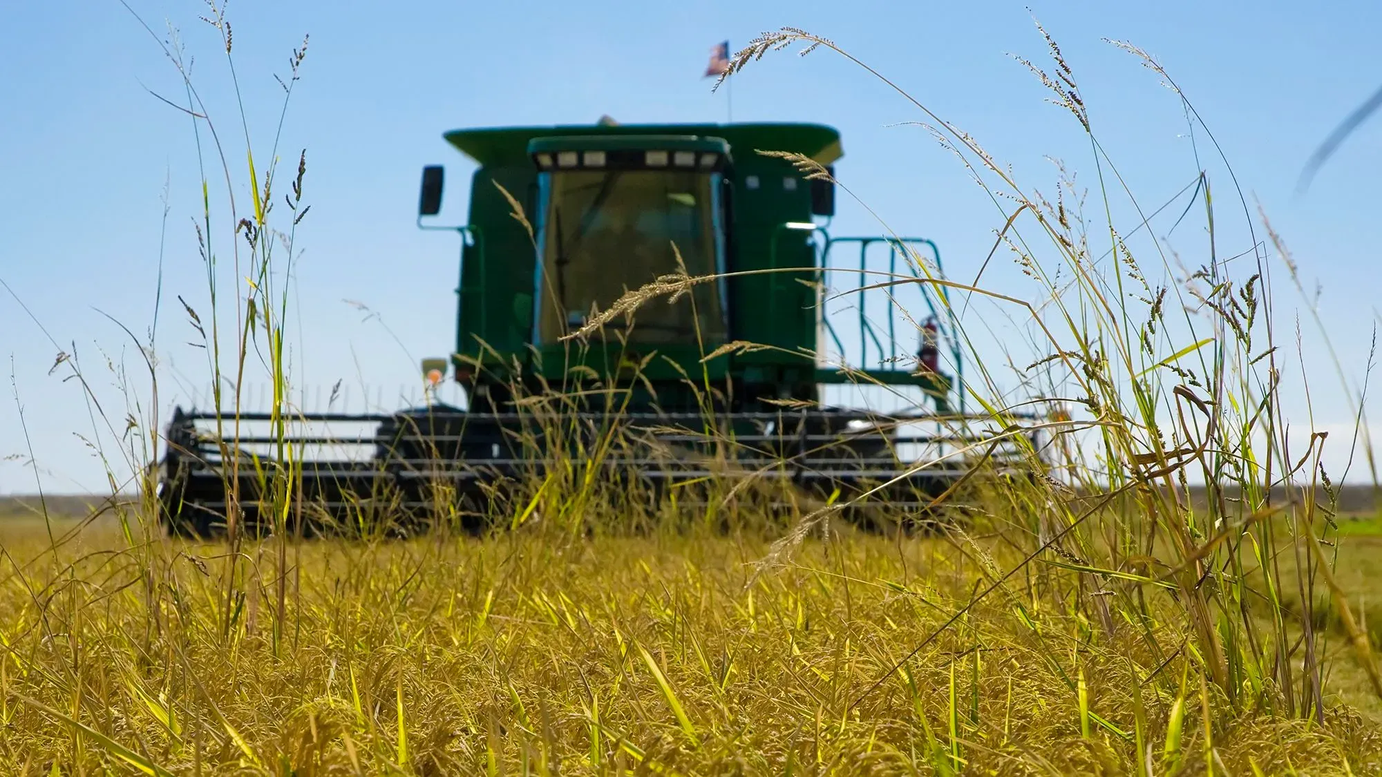 جرار زراعي في حقل أرز أمريكي، يشير إلى التوترات التجارية بين الولايات المتحدة واليابان بشأن صادرات الأرز.