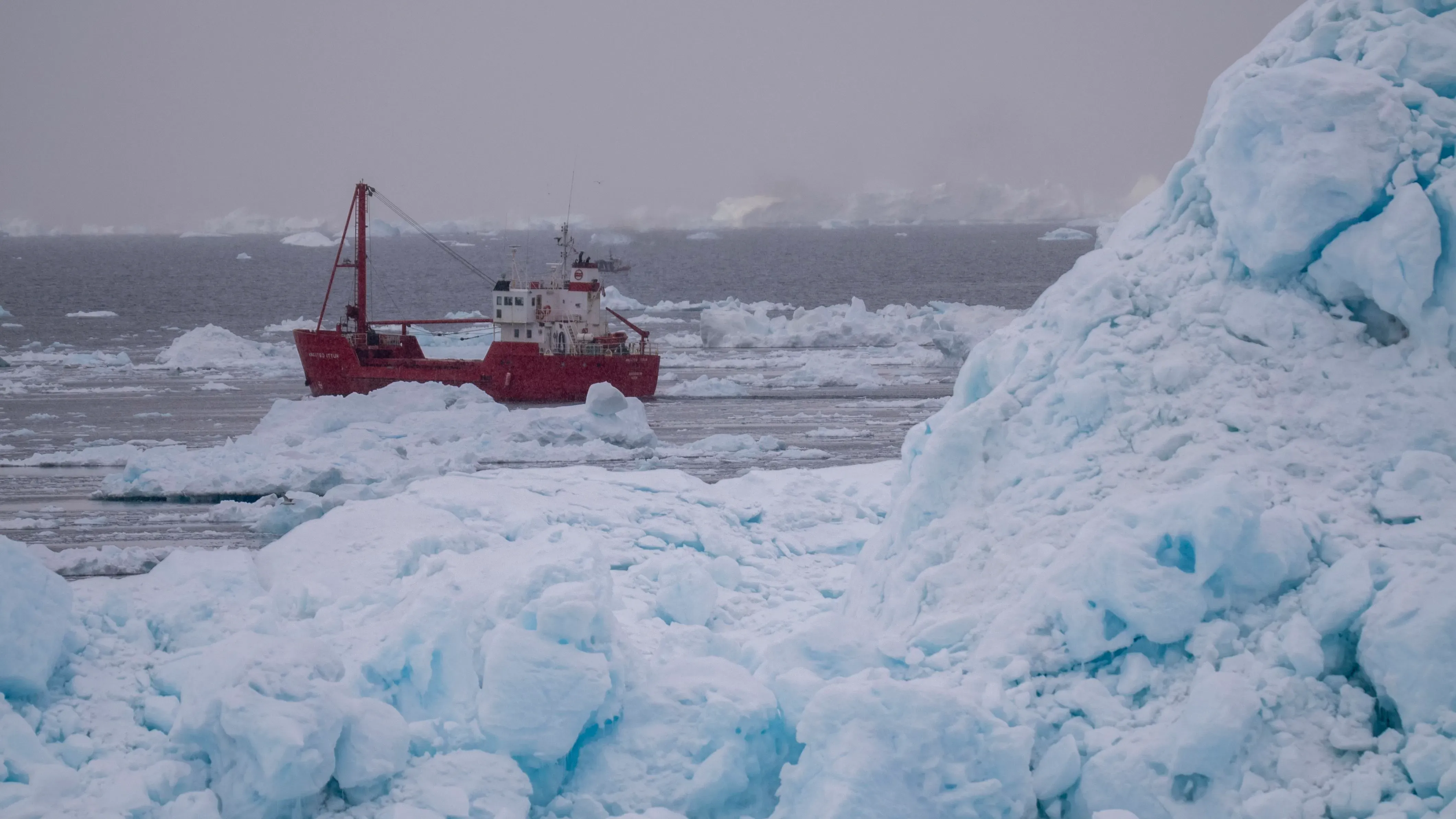 سفينة حمراء تبحر بين كتل الجليد في مياه غرينلاند، مما يعكس تأثير تغير المناخ على البيئة القطبية.