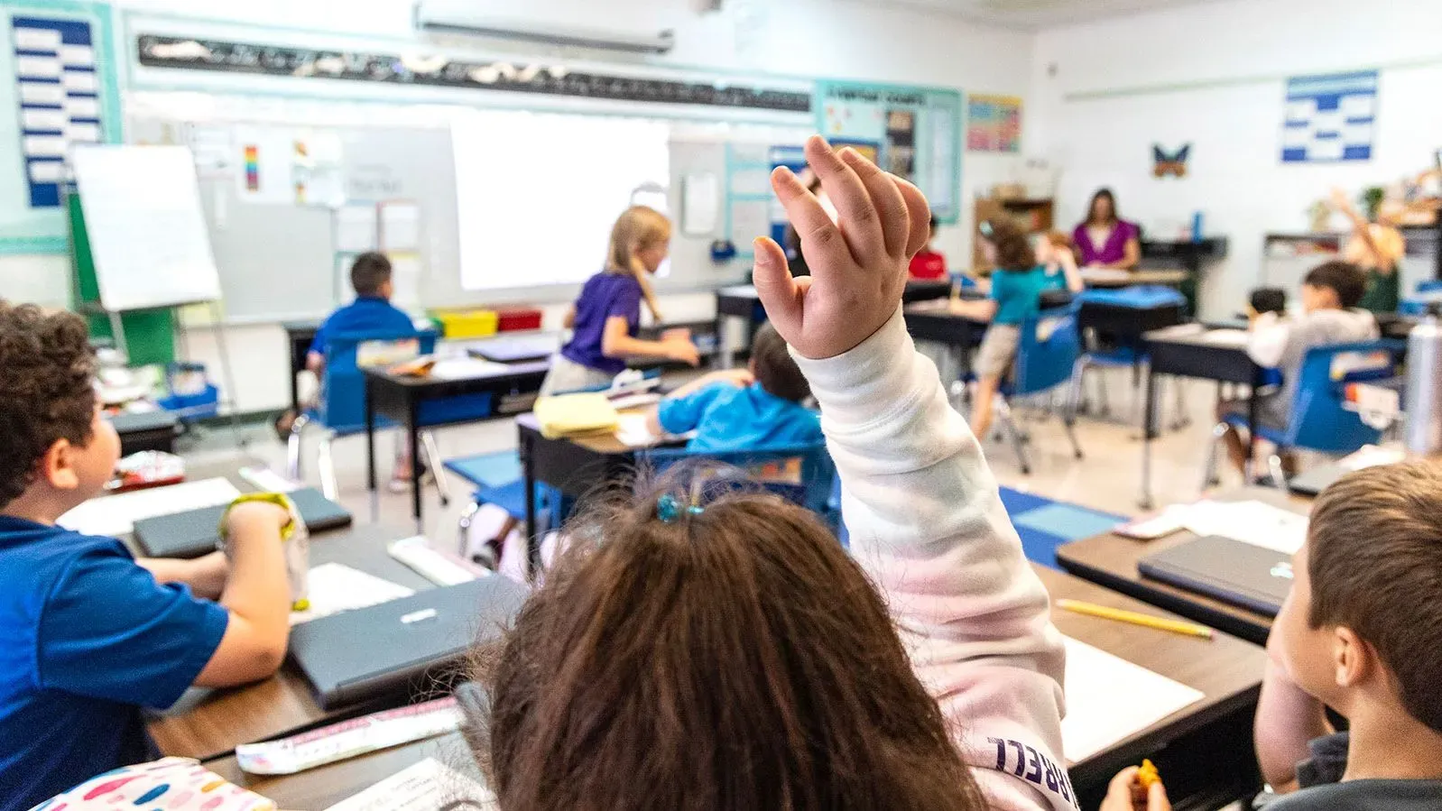 فصل دراسي مليء بالطلاب، حيث يرفع أحدهم يده للإجابة. يسلط الضوء على أهمية خيارات التعليم والبرامج المدرسية.