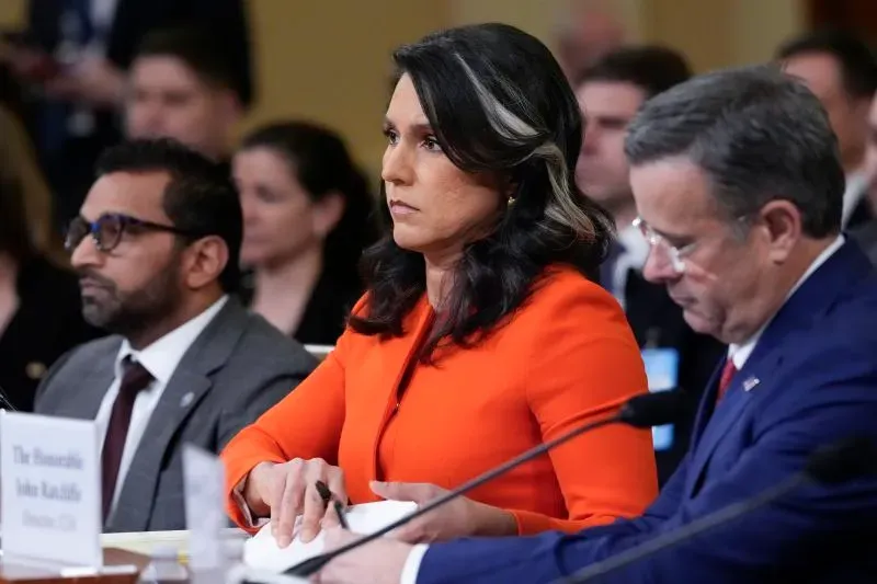 تظهر تولسي غابارد، مرتديةً سترة برتقالية، خلال جلسة استماع رسمية، حيث تتناول تعقيدات إقامتها وتصويتها في هاواي وتكساس.